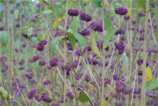 ȫGίTP(gun)M(jn)һӏ(qing)Řľo(h)...