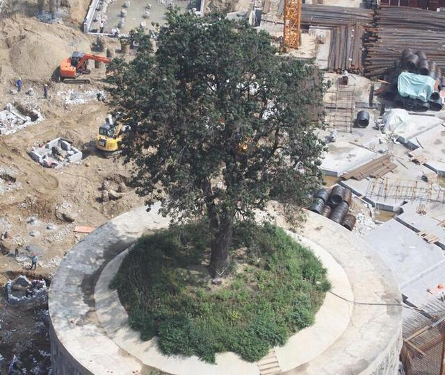 ǰ˅^(q)Řľ4f걱λȫһ