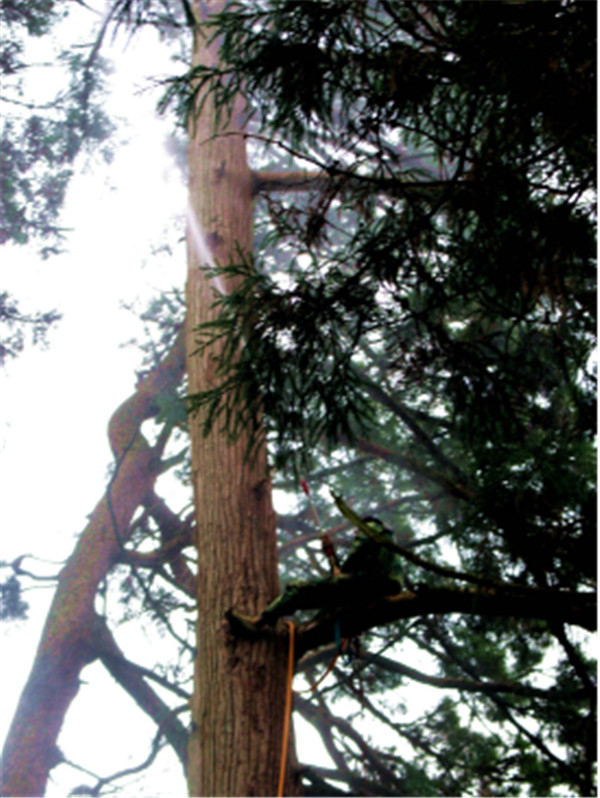 ĿɽL(fng)^(q)(ni)ĹŘ(sh)o(h)